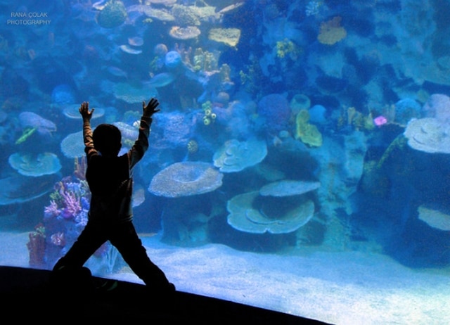 الاماكن السياحية في اسطنبول الاوروبية