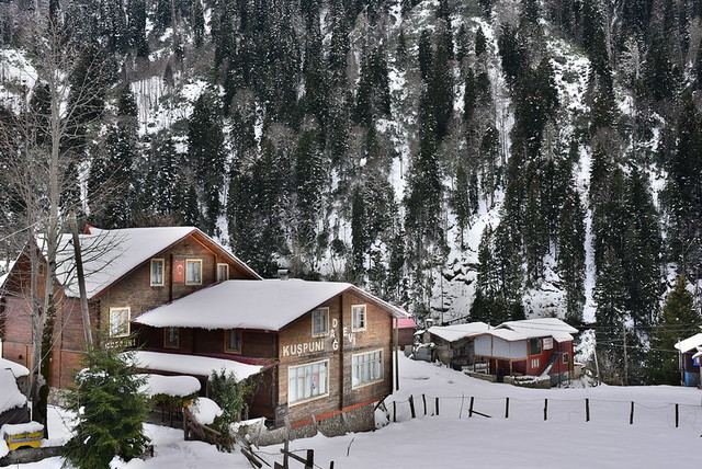 افضل فنادق ايدر